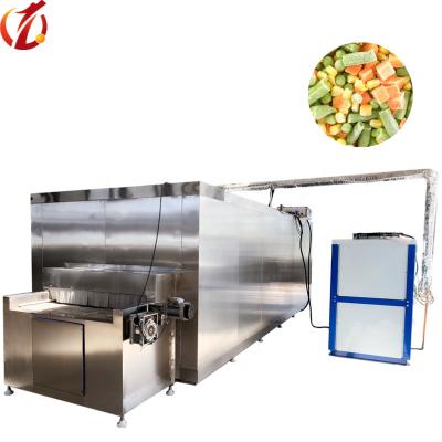 China Hotels Fruit and Seafood Tunnel Vegetable Freezer / Deep Freezer for sale