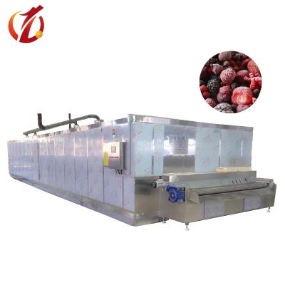 China SD-1000 Hotels Fruit and Vegetable Freezer Strawberry Blueberry Freezer for sale