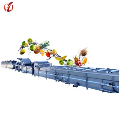 China food & QD-3000 Fruit And Vegetable Processing Line Produce French Fries Beverage Processing Line for sale