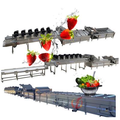 China Pre-treatment of fruit vegetable processing line of fruits and vegetables for washing cutting and dry produce vegetable processing machinery for sale