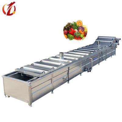 China QD-8000 Fruit Water Bath Steam Heating Blanching Machine For Vegetable Tunnel Pasteurizer for sale