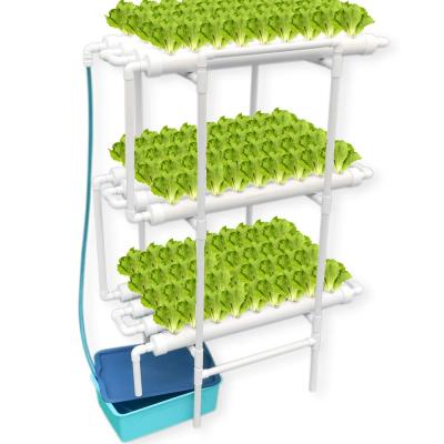 China Easy Growing Hydroponics System Growing Kit with Water Pump for Greenhouse Hydroponics for sale