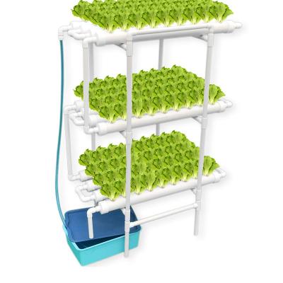 China Wholesale Hydroponic 72 Hole Pipeline Rack PVC 72 Hole Irrigation And Hydroponics Easy Growing Eqiupment for sale