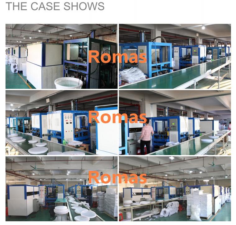 Verified China supplier - Romas Lighting Technology Co., Limited