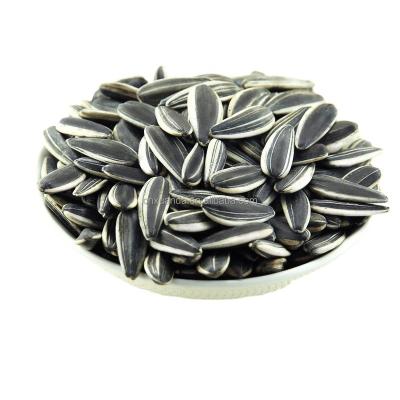 China Raw hot sale! Indoor Professional Mongoliua Supplier Sunflower Seeds 361 Type With Big Size And Cheap Price for sale