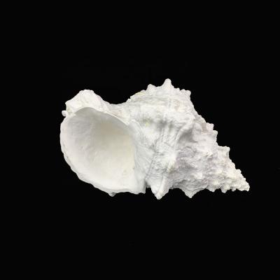 China Europe 2021 New Artificial Resin Fish Tank Sea Crafts Conch Shell Corals Decoration Resin for sale