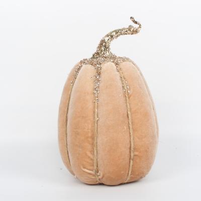 China pumpkin 22181117 for sale