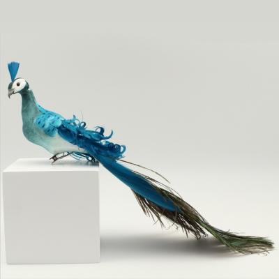 China peacock H197081 for sale