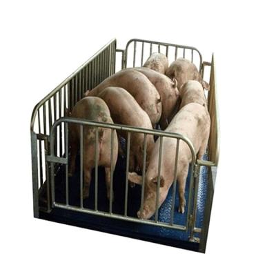 China China Stable Supplier Performance Scale Digital Livestock Animal Scale For Pig, Sheep, Cow for sale