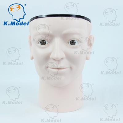 China Student Study Examination Model , Eye Inspection For Teaching Use Eye Model Medical Product ISO CE Model for sale