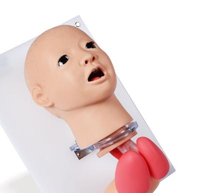 China Medical Education K Model Advance Child Endotracheal Intubation Model Tracheal Intubation Model CE ISO for sale