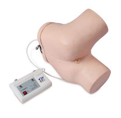 China KSM-73A PVC Enema and Assisted Defecation Training Simulator Training Model for sale