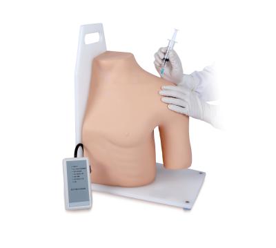 China Hospitals Advanced Electronic Shoulder Joint Injection Intracavitary Simulator KSM-180 for sale