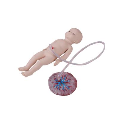 China Hospitals Newborn Umbilical Cord Care Model Newborn Baby (Female/Male) KSM-122 for sale