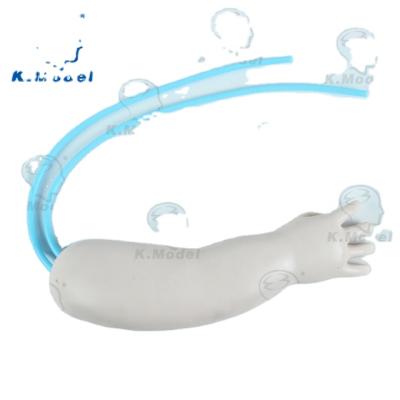 China To Study Infant Medical Advanced Arm Model Arm Injection Vein Vein Simulator Infant Model For Nurse Training Training Injection Model for sale