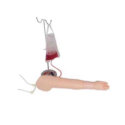 China Hospitals Venipuncture Medical Educational Multifunctional Injection IV Simulator Intravenous Training Arm Model KSM-44 for sale