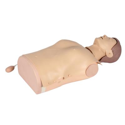 China Hospitals Half Body CPR Training Manikin KSM-12 (Light And Alert Indication) for sale