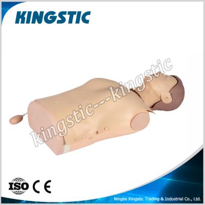 China Hospitals Half Body CPR Training Manikin KSM-12 for sale