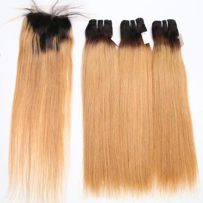 China Meche Human Hair 100% Virgin Brazilian Raw Color Silky Straight Mink Human Hair Bundles Wave Free Sample for sale