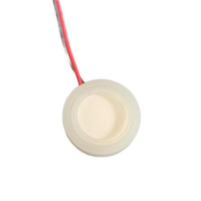 China The Other Ultrasonic Transducer Vibrator Garden Mist Manufacturing and Household Humidifier Spray Chip 20MM*2.4 for sale