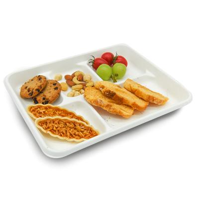 China Biodegradable Rectangular Rectangular Fiber Compartment Environmental Friendly Sugar Cane Tray Disposable Tray for sale