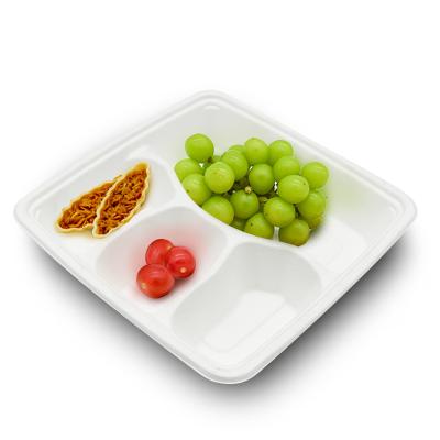 China Biodegradable Rectangular Biodegradable Disposable Tray Compartment Food Tray For Catering Service for sale