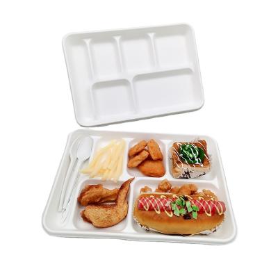 China 5 Compartment Disposable Fruit Tray Takeaway Tray Disposable Sugarcane Eco-Friendly High Quality Biodegradable Tray for sale