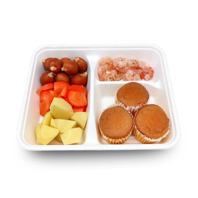 China Eco-friendly Disposable Biodegradable Biodegradable Sugarcane Bagasse Paper Pulp 3 Compartment Fast Food Lunch Tray for sale