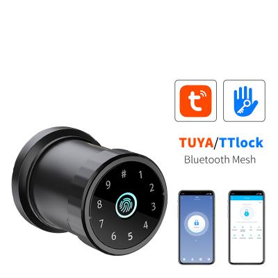 China Home BLE APP WIFI Fingerprint Handle Smart Biometric Door Lock With TTLOCK APP Lock for sale