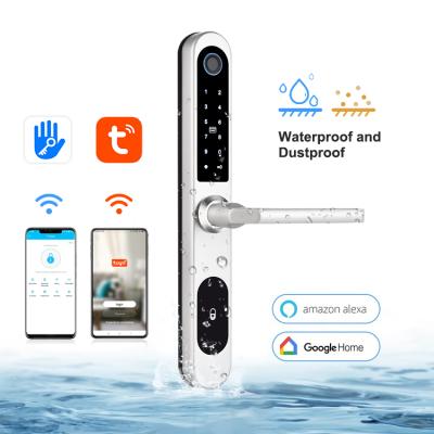 China Tuya App or TT Lock App WIFI BLE Tuya Luxury Waterproof Luxury Outdoor Fingerprint Digital Sliding Door Lock for sale