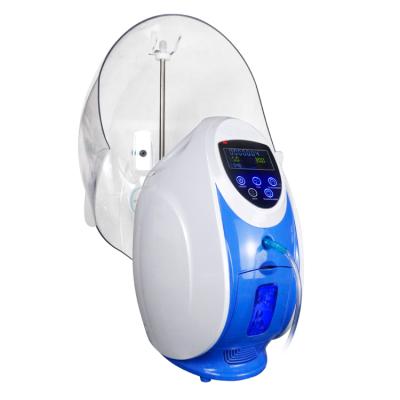 China Rejuvenation Hyperbaric Oxygen Skin Pigment Removal Beauty Spa Jet Peel Dome Mask Oxygen Facial Machine for sale