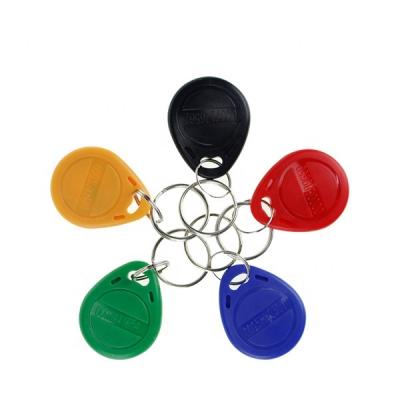 China Plastic Gym Proximity Low Frequency Waterproof 125KHz/Waterproof RFID Keyfob With Passive RFID Chip Key Chain for sale