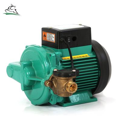 China Commercial Buildings Best Sell Rud-169Ea Full Automatic AC Booster Pumps Electric Water Circulation Vacuum Pump for sale