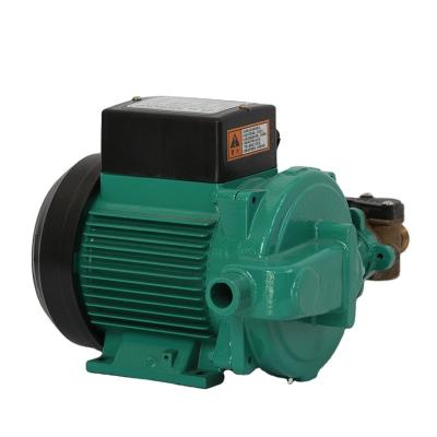 China Commercial Automatic High Pressure Home Irrigation and Agriculture Buildings Booster Water Pump Integrated Centrifuge for sale