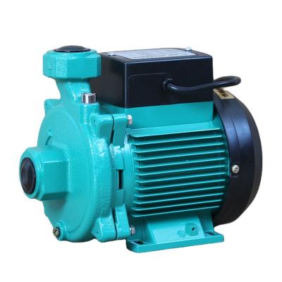 China 0.12hp Buildings Water Pump Commercial RUD Small Series Electric Gasoline India Price for sale