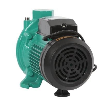 China Commercial Automatic Durable Pump 220V Mini Pump Durable Water Pressure Buildings RUD-400EH Centrifugal Booster Pump for sale