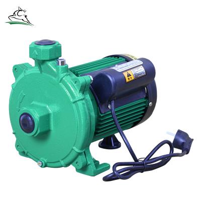 China Commercial Buildings Design Rud-600Eh Professional Automatic Electric Water Pump Self Priming for sale