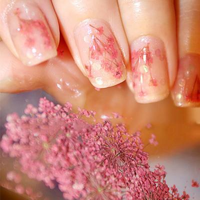 China Easy Apply 12 Colors Hot Selling Dry Flower Designs Beauty Dry Flower Nail Art Sticker Accessories For DIY Nail Art Decoration Supplies for sale