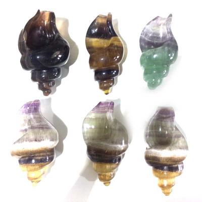 China China Natural Ammolite Colorful Fluorite Polished Crystal Fossil Fluorite Conch for sale