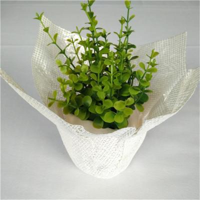 China Europe hot sale cheap flower pot, flower packaging flower pot for sale