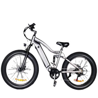 China 750w Aluminum Alloy Electric Bike For Adults 26