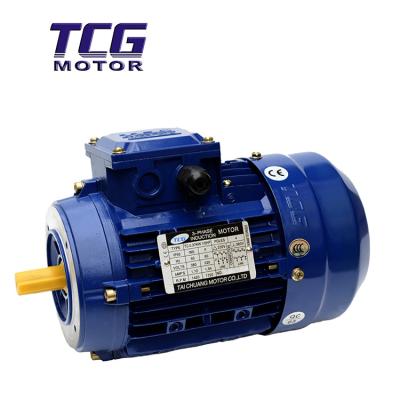 China B3 B5 B14 Rack Electric Motor 3 Phae Totally Enclosed Asynchronous Motor for sale