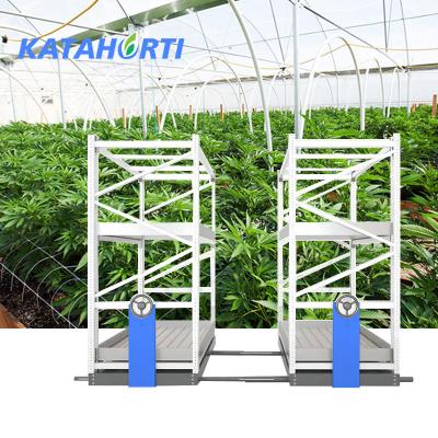 China Save Place 4ft x 8ft Vertical Grow Rack For Indoor Agricultural Multiple Rows Grow Rack For Hydroponics for sale