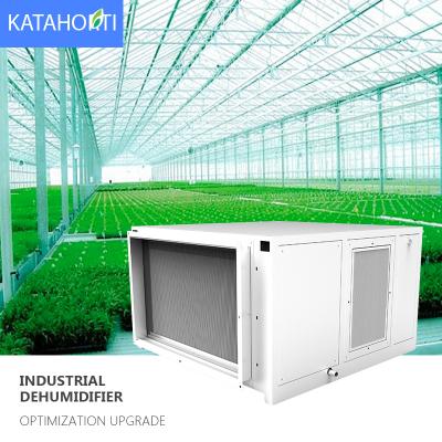 China High Efficiency Agricultural Household Dehumidifiers 4.3L/Kwh Energy 220V 60Hz Vertical Low Noise Dehumidifiers for sale