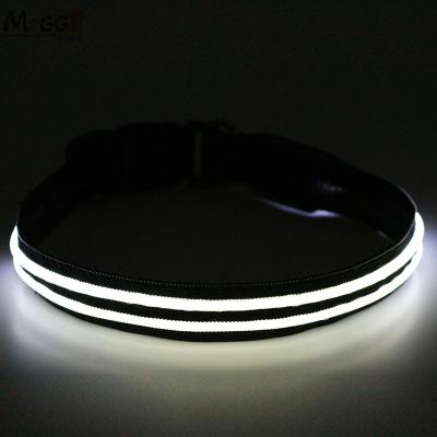 China Environmentally Sustainable 630*25mm Nylon USB Led Collar Flashing Dog Collar With 8 Lights for sale