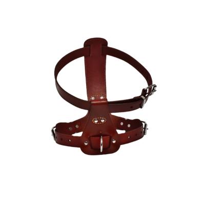 China Customized Luxury Genuine Leather XL Size Dog Harness For Large Dog for sale