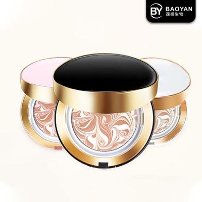 China Private Label Air Cushion Foundation Wet Powder Cosmetics Natural Skin Color for sale