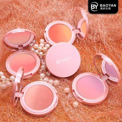 China Multifunction Shimmer Matte Blusher Powder Multicolor for sale