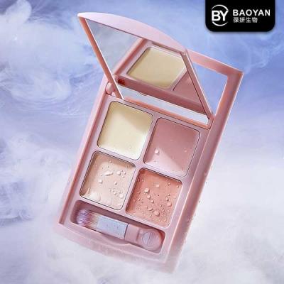 Китай Палитра макияжа Concealer носки сливк стороны девушки HD безупречная продается