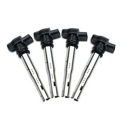 China Vehicle Engine System Factory Price Car Accessories Engine System For Audi 2004-2013 Auto Ignition Coil OEM Quality for sale